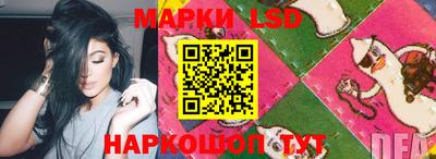 МДПВ Новодвинск