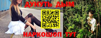 МДПВ Новодвинск