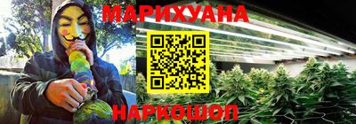 МДПВ Новодвинск