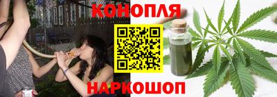 гидропоника Новозыбков